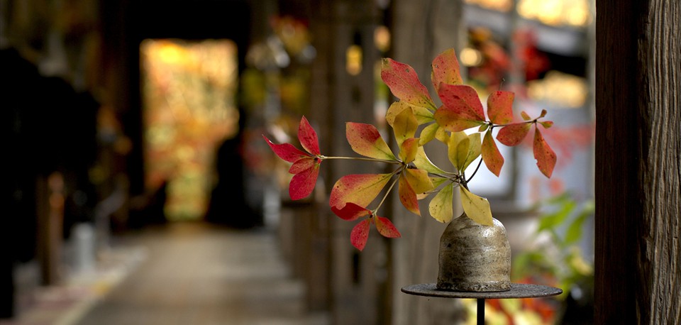 gallery_01