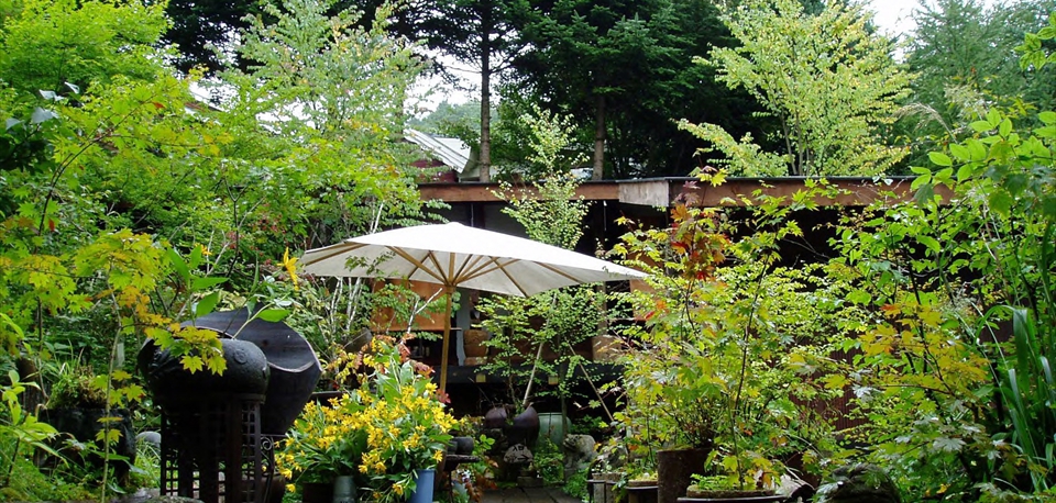 garden