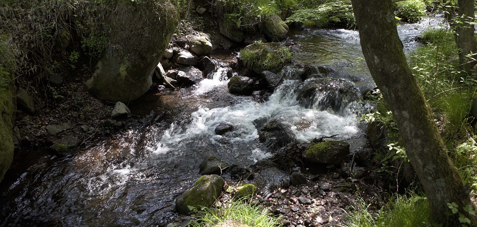 gardenriver