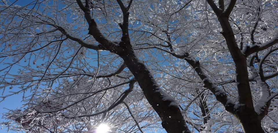 Muu-tani_Winter